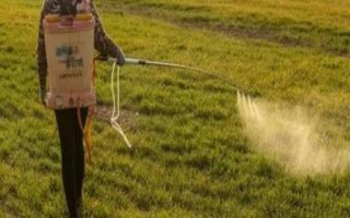 有哪些花生苗前封闭除草剂，常见的有精异丙甲草胺、异丙甲草胺等