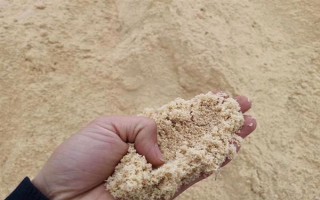 金桔如何保存，常见以下3种方法