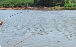 爆炸钩总钓不到鱼是什么原因，垂钓者请慎用