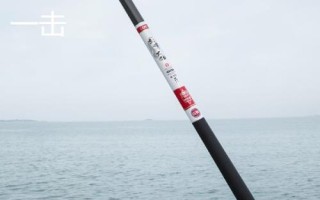 黑坑大物竿品牌推荐，本汀隼、一击、浪尖等品牌均为适宜选择