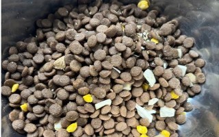 为什么阿拉斯加会哭，可能是它的泪腺有问题