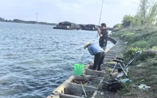 钓泥鳅怎么快速上钩，使用鲜活的虫饵具有良好效果