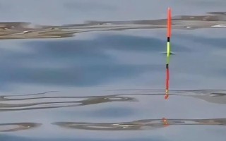 短脚长尾漂的优点，有较好的稳定性