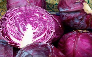 有哪些紫色菜，常见的有茄子、紫甘蓝、洋葱等