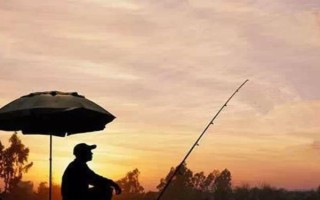 傍晚好钓鱼吗，温暖季节的傍晚好钓鱼