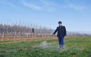 冬季打农药要注意什么，在晴天高温时段用药效果更好