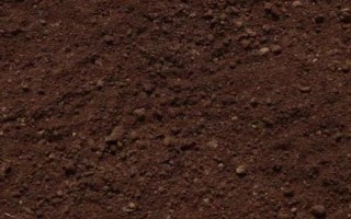 海棠花扦插繁殖方法，在每年4-5月进行