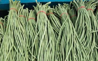 无架豆角的栽培技术，生长到30厘米左右高时要摘心