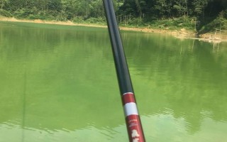 筏钓的最佳钓点,养殖网箱下面堪称最佳钓点