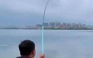主线2.5子线多少合适,子线选1.5-2号之间的比较合适