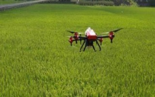 叶枯唑防治什么病害，可有效防治水稻叶枯病、条斑病等