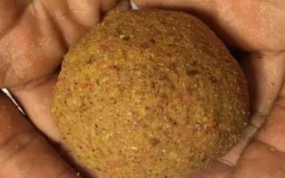 青鱼怎么钓，选择合适的钓组尤为重要