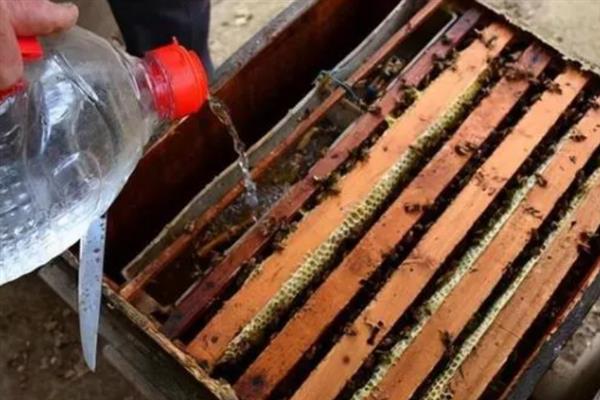 冬天如何对蜜蜂饲喂糖水，在饲喂器中添加糖浆再放入蜂箱中即可