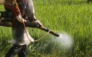 胺鲜酯的优越性能，可用于各种经济作物和粮食作物