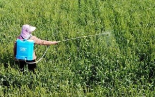 磷酸二氢钾能混用吗，基本是混用很少单独使用