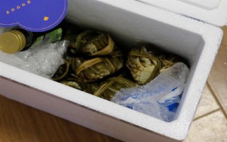 螃蟹在家里怎么养殖,可以用鱼缸养