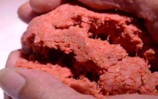 春钓鲫鱼的饵料配方,荤素都喜欢吃