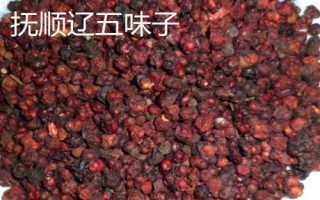 辽宁省抚顺县的特产,单片黑木耳为当地特色农产品