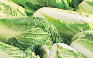 霜降过后可以在阳台上种什么蔬菜，可种植白菜、胡萝卜、大蒜等品种