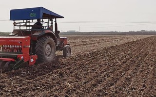 小麦种上后下雨板结能不能出来，出土能力强一般能出来