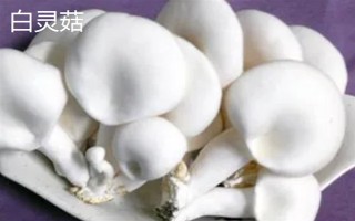农村种什么东西有高收益,车厘子、香椿、藜麦等作物值得考虑