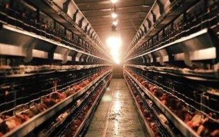 畜禽标识和养殖档案管理办法的内容，在我国境内从事相关生产等活动都要遵守