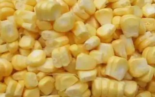 野河夜钓用什么饵,可选择自然饵料或商品饵料等