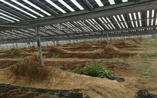 蚯蚓没有销路如何解决，卖给渔具店是不错的选择