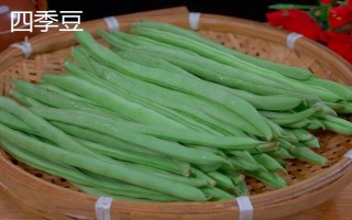 豆角是不是四季豆,二者不是同一品种