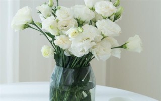 白色洋桔梗的花语，寓意纯洁美好、真挚爱情等