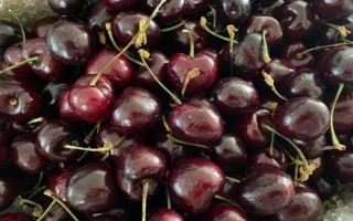 车厘子的品种介绍，常见的有金车车厘子、红灯、美早等