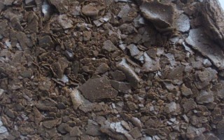 菜籽饼属于什么肥料，是优质的有机肥料