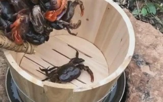 螃蟹在家里怎么养殖,可以用鱼缸养