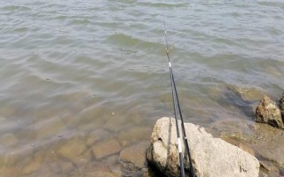 走水能不能钓鱼，垂钓时要注意以下4点