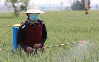 高温期施农药的害处，会导致杀虫效果差且药效低