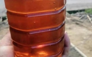 什么是荞麦蜜,由蜜蜂采集荞麦花蜜酿制而成