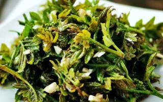 黄玻璃树芽的食用方法,一般是凉拌或者做成芽茶