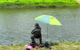 钓鱼好不好钓,与天气、饵料、钓点等相关