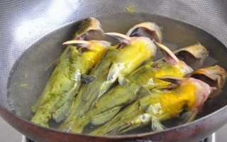 黄色的鱼有哪些品种，常见的有黄颡鱼、霓虹燕子等