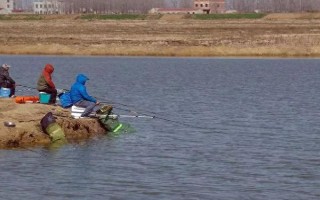 台钓鲫鱼子线要多长，根据鱼情、季节、钓法等决定