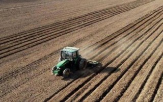 藜麦如何种植，绝对不可连作