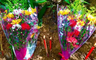 坟头长树不清理掉的原因，是迷信的说法