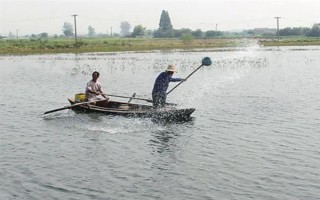 鱼塘鱼缺氧用什么药，可选择二氧化氯
