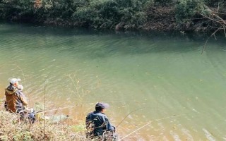 30斤以上的大鲢鳙能钓到吗，必须采取正确的方式才能钓到