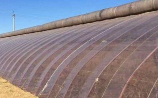 温室大棚蔬菜冬季浇水注意事项，要坚持做到膜下暗灌