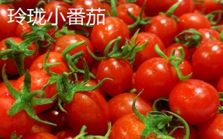 玲珑小番茄和千禧圣女果的区别,外形、品种和口感均不同