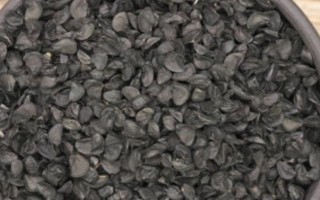 种植一亩地大葱需多少种子,用种量为150-250g