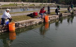 十二月份钓鱼技巧,建议在晴朗天气的上午出钓