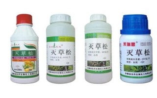 灭草松除草剂见效所需时间，经过1-2天开始生效