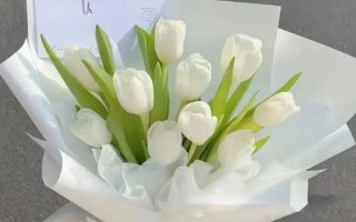 郁金香有什么花语，代表爱的宣言、高贵的爱、珍贵友谊